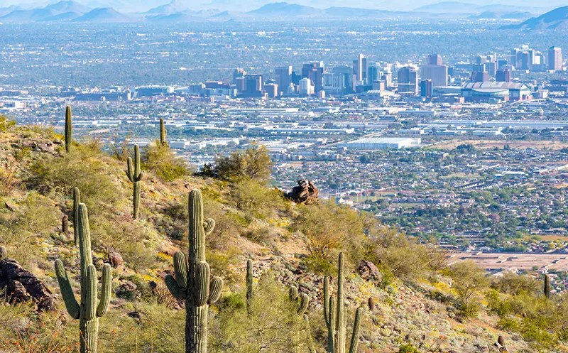 How Phoenix’s Small Businesses Ride the Digital Payment Wave